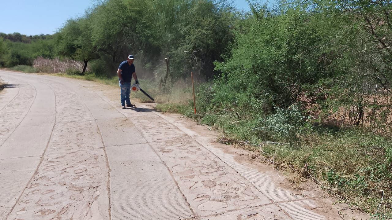 TRABAJOS DE LIMPIEZA Y PODA EN EL CAMINO AL ALJÍBAR