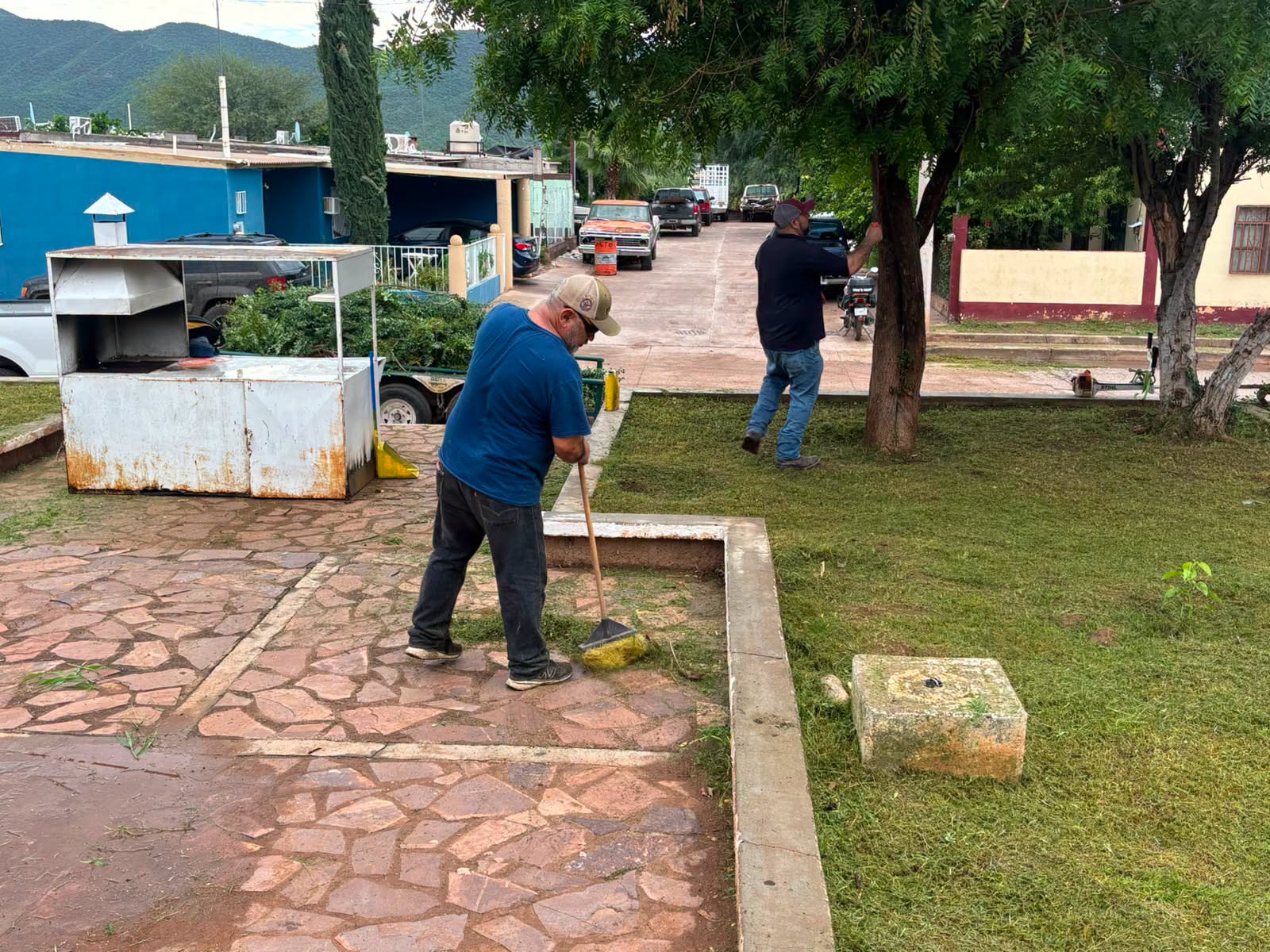 MANTENIMIENTO DE PLAZAS Y JARDINES